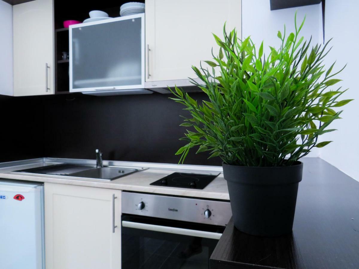Flora Daisy Apartment Nr 28 波罗维茨 外观 照片